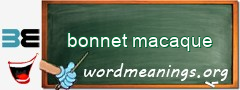 WordMeaning blackboard for bonnet macaque